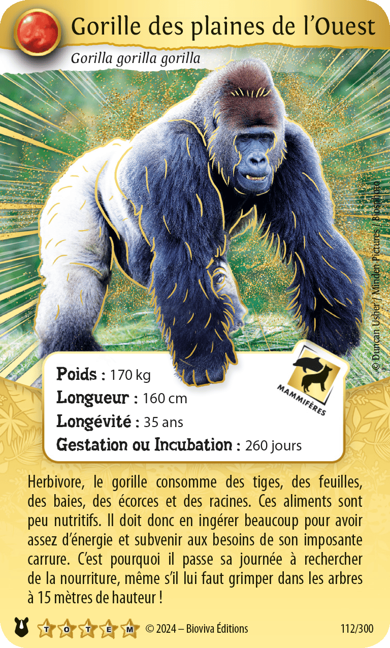 Carte gorille a scanner